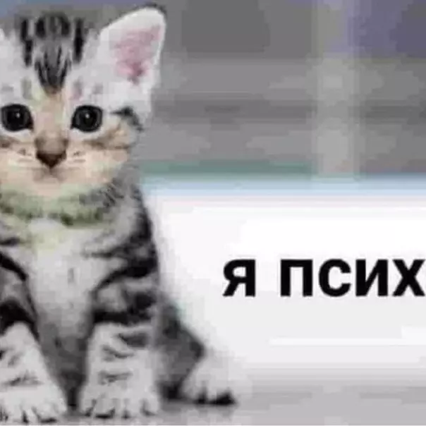 profile.banner_alt